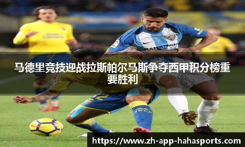 哈哈体育官方网站